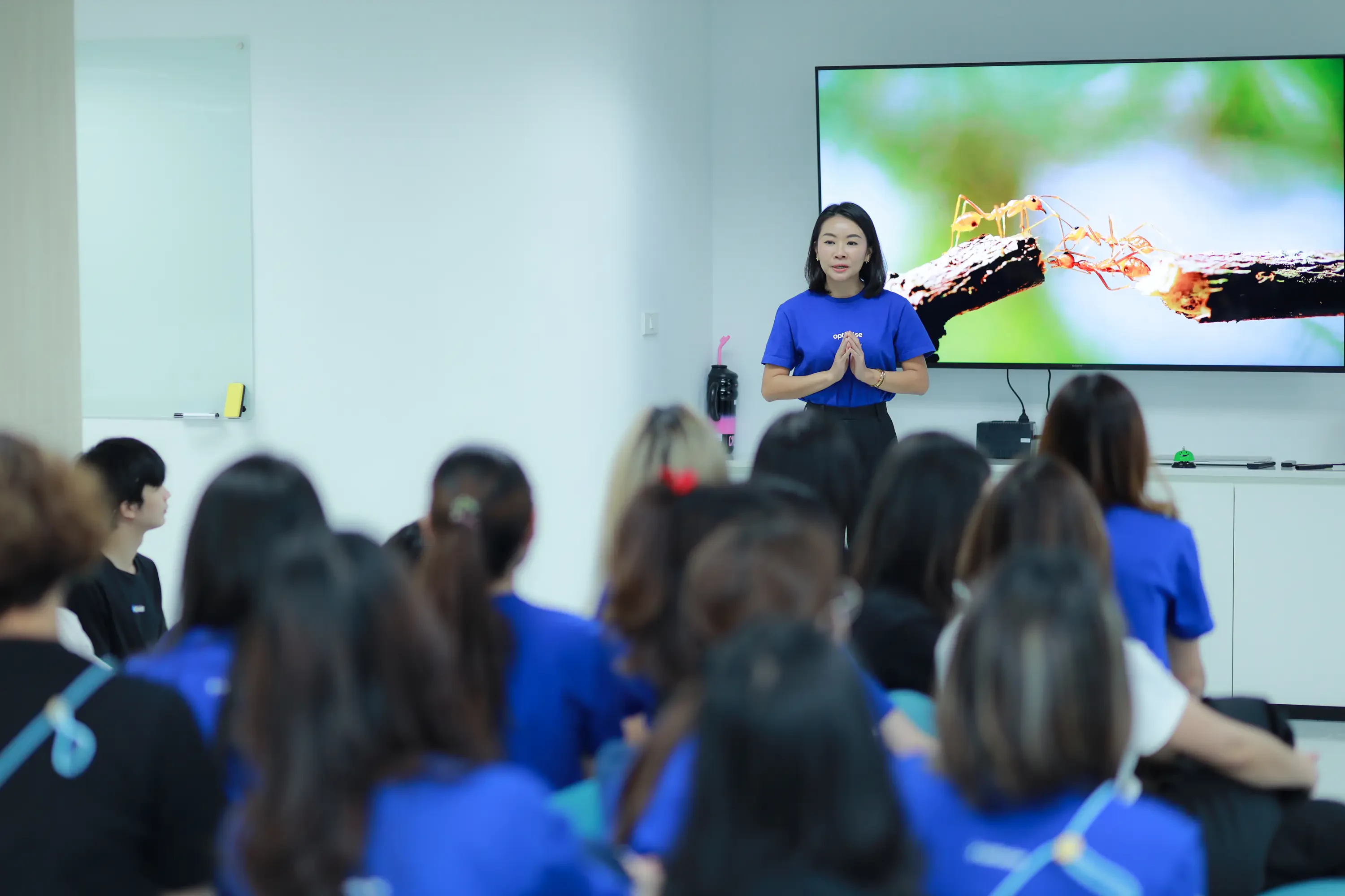optiwise-new-office-7.webp